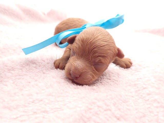 赤ちゃん写真1-1