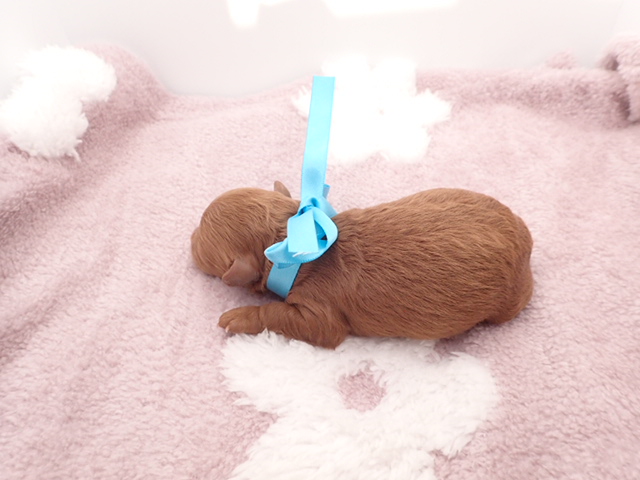 赤ちゃん写真1-3