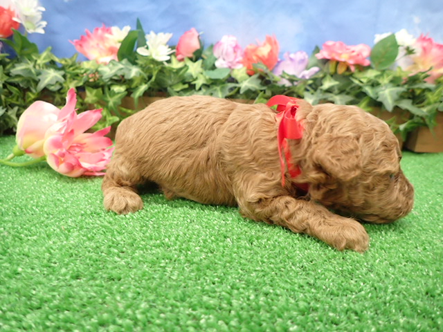 赤ちゃん写真2-2