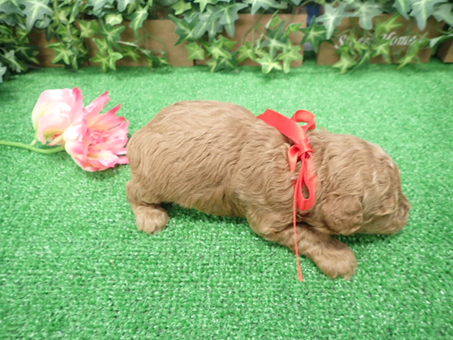 赤ちゃん写真2-3