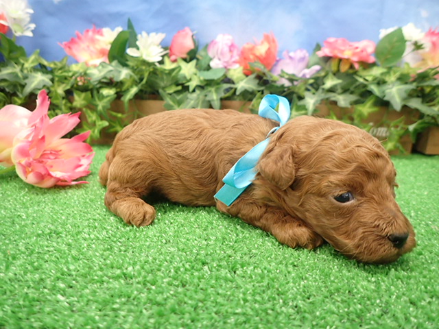 赤ちゃん写真2-2