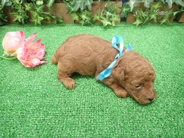 赤ちゃん写真2-3