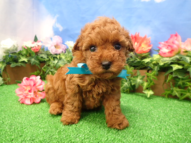 赤ちゃん写真3-1