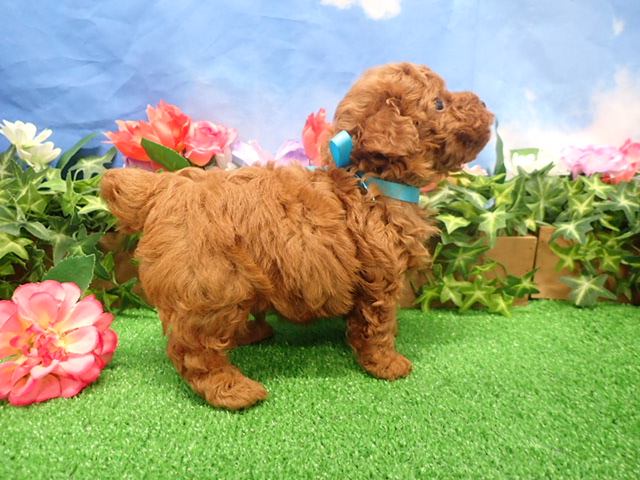 赤ちゃん写真3-2