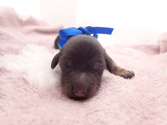 赤ちゃん写真1-1