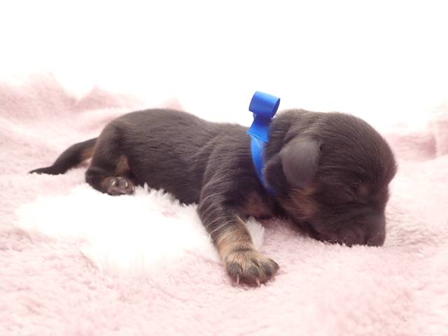 赤ちゃん写真1-2