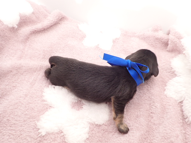 赤ちゃん写真1-3