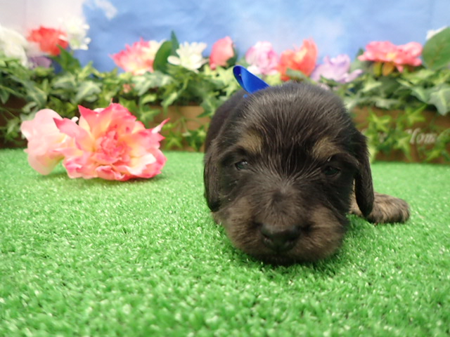 赤ちゃん写真2-1