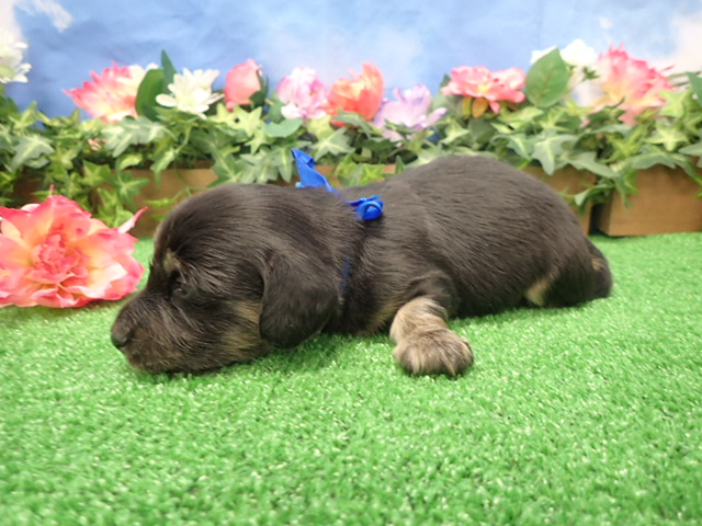 赤ちゃん写真2-2