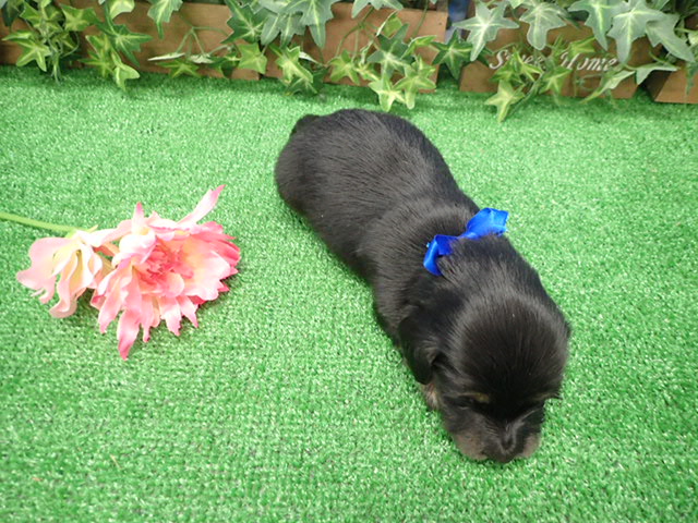 赤ちゃん写真2-3