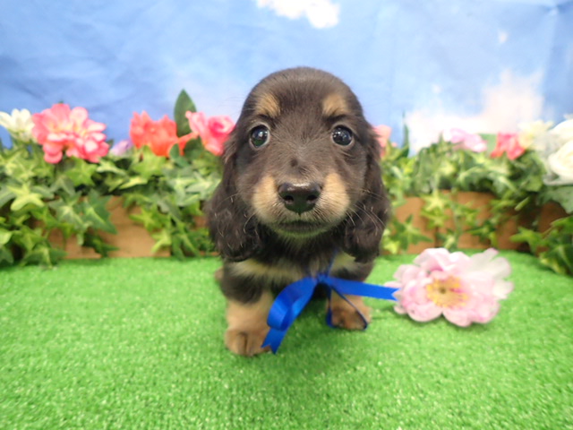 赤ちゃん写真3-1