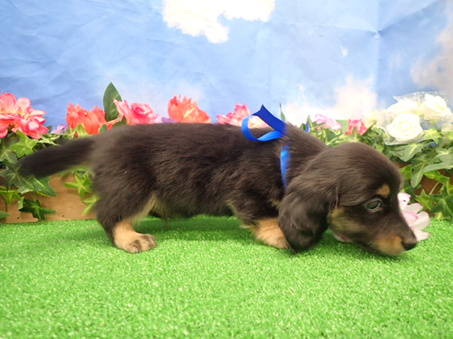 赤ちゃん写真3-2