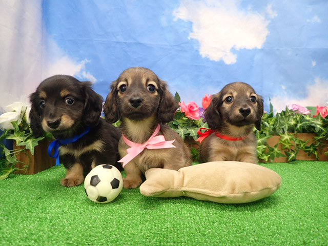 赤ちゃん写真3-3