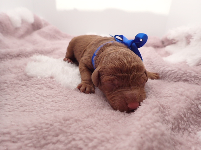 赤ちゃん写真1-1