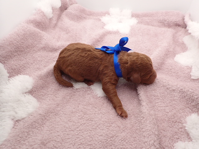 赤ちゃん写真1-3