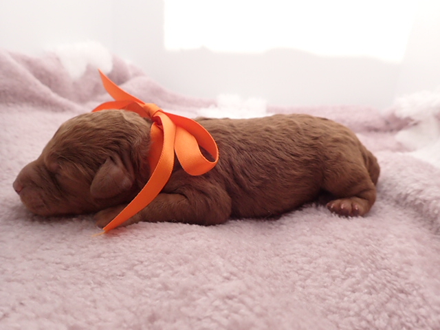 赤ちゃん写真1-2