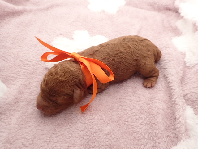 赤ちゃん写真1-3