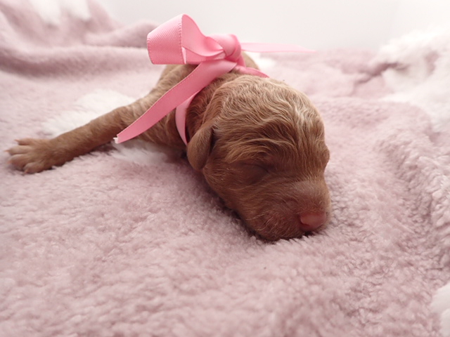 赤ちゃん写真1-1