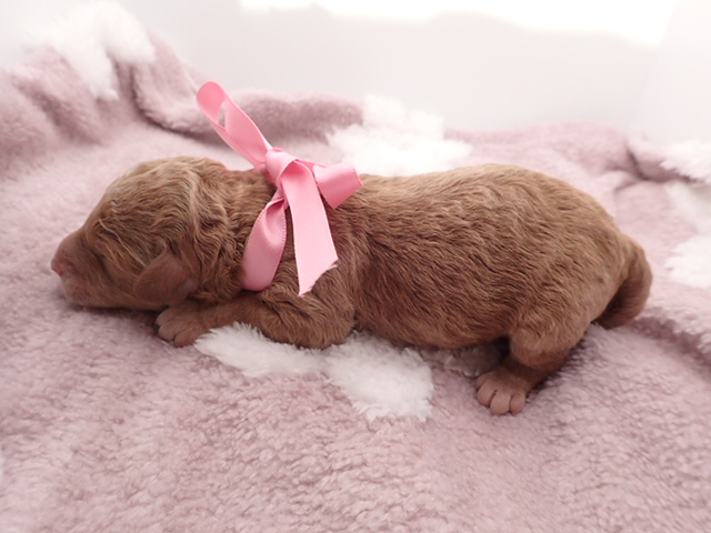 赤ちゃん写真1-2