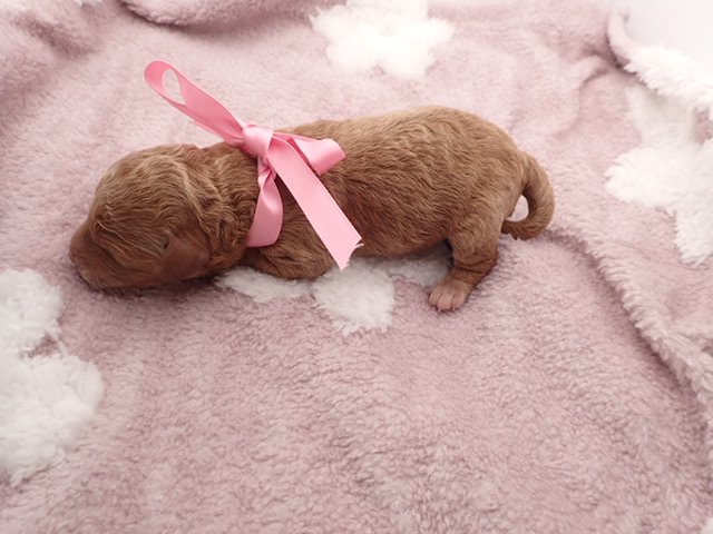 赤ちゃん写真1-3