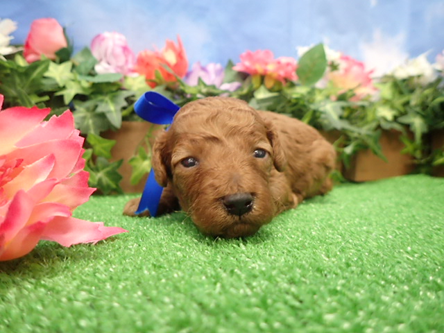 赤ちゃん写真2-1