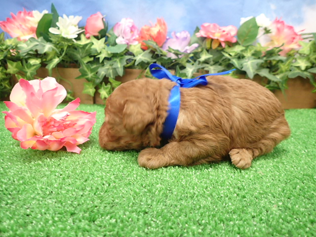 赤ちゃん写真2-2