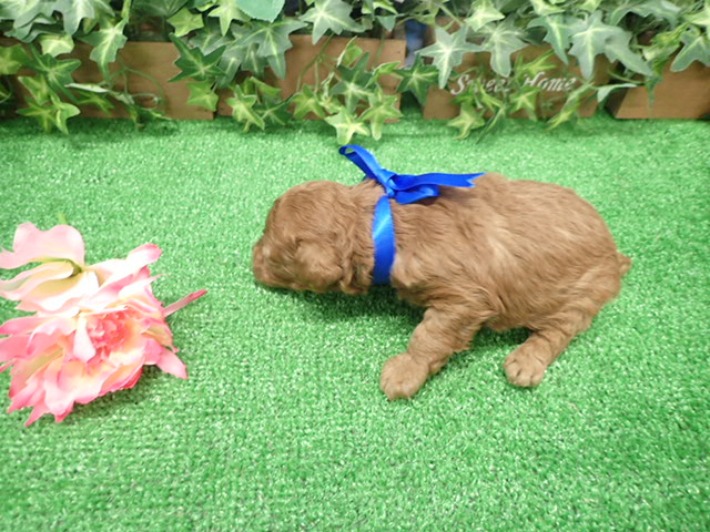 赤ちゃん写真2-3