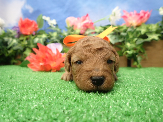 赤ちゃん写真2-1