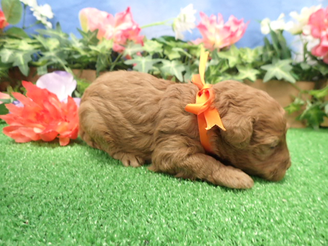 赤ちゃん写真2-2