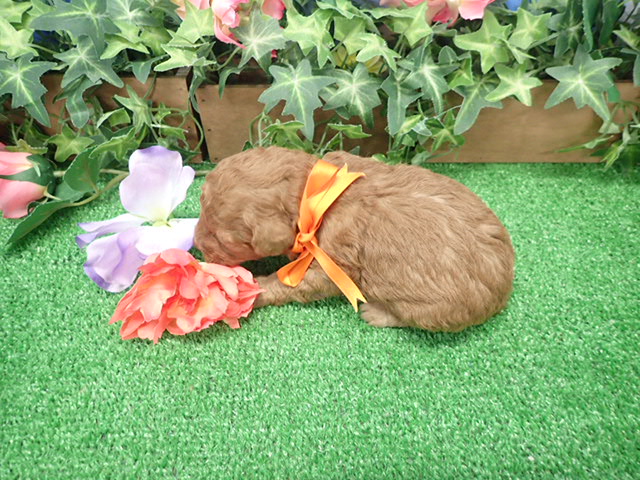 赤ちゃん写真2-3