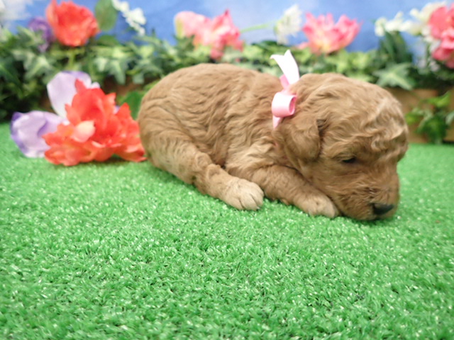 赤ちゃん写真2-2