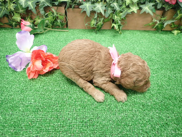 赤ちゃん写真2-3