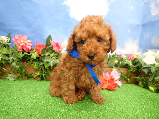 赤ちゃん写真3-1