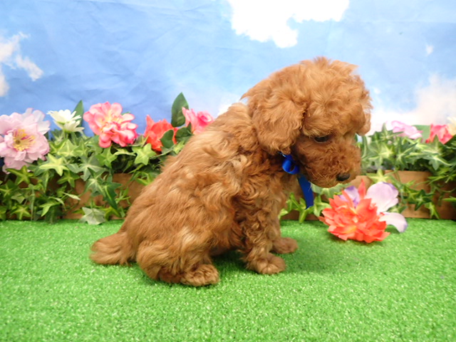 赤ちゃん写真3-2