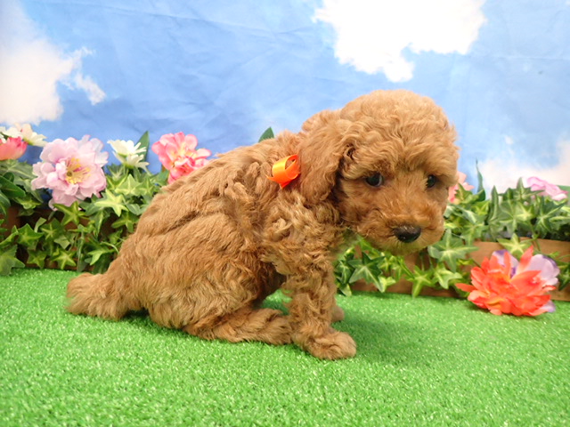 赤ちゃん写真3-2