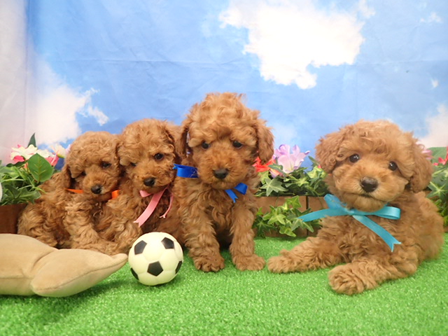 赤ちゃん写真3-3