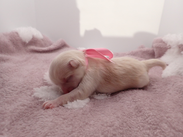 赤ちゃん写真1-2