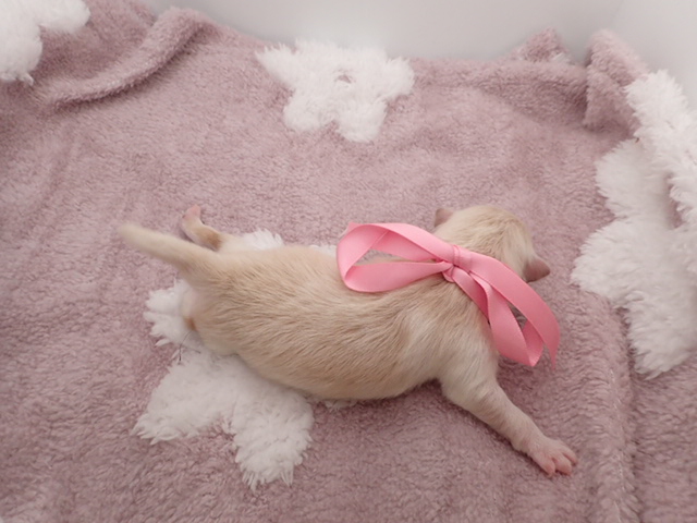 赤ちゃん写真1-3