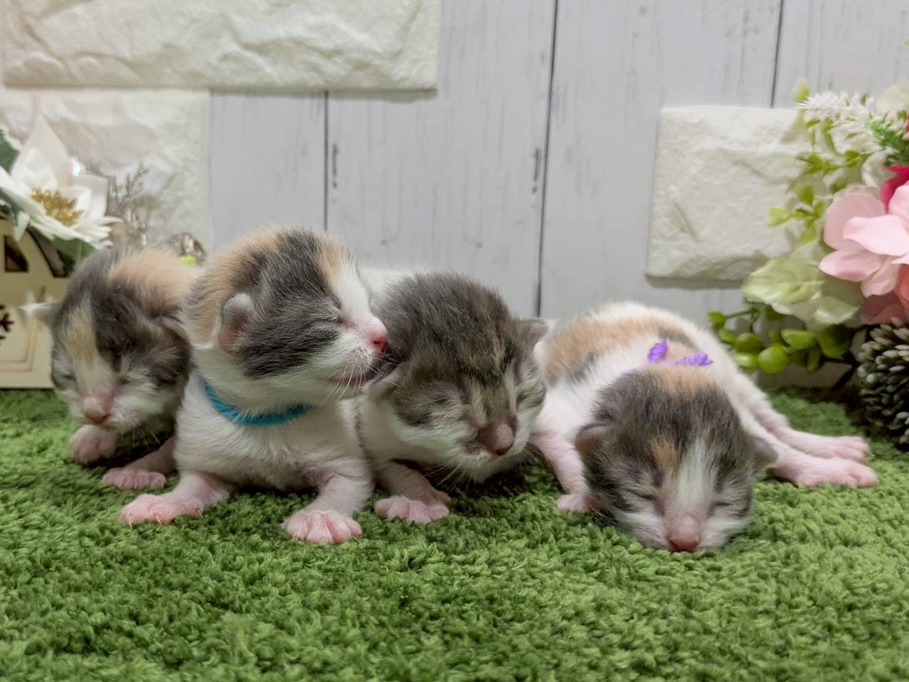 赤ちゃん写真1-3