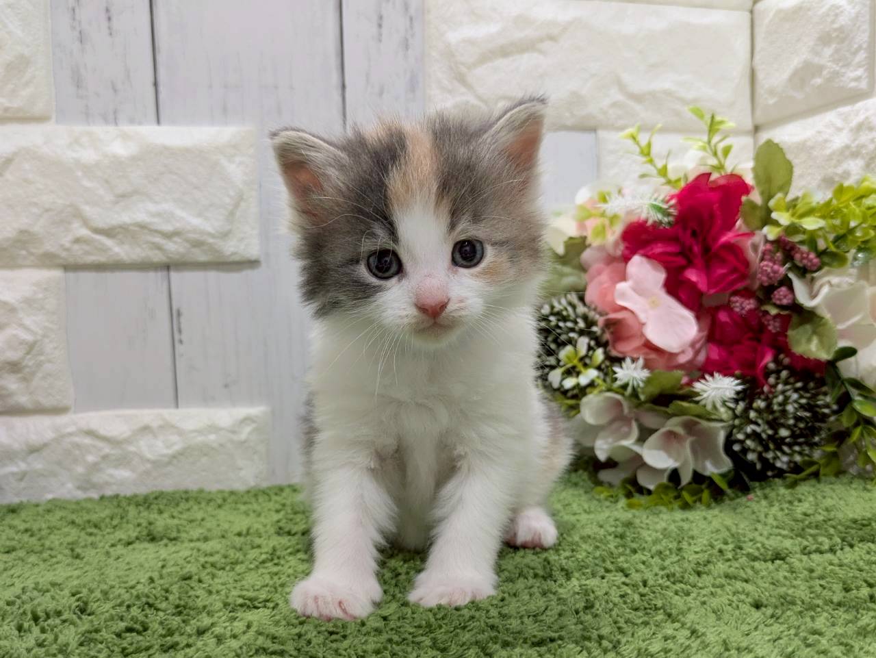 赤ちゃん写真2-1