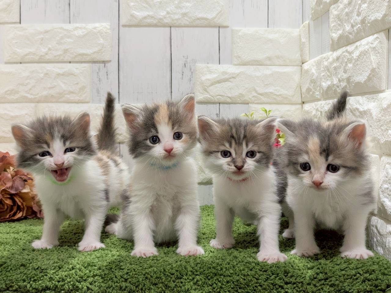 赤ちゃん写真2-3