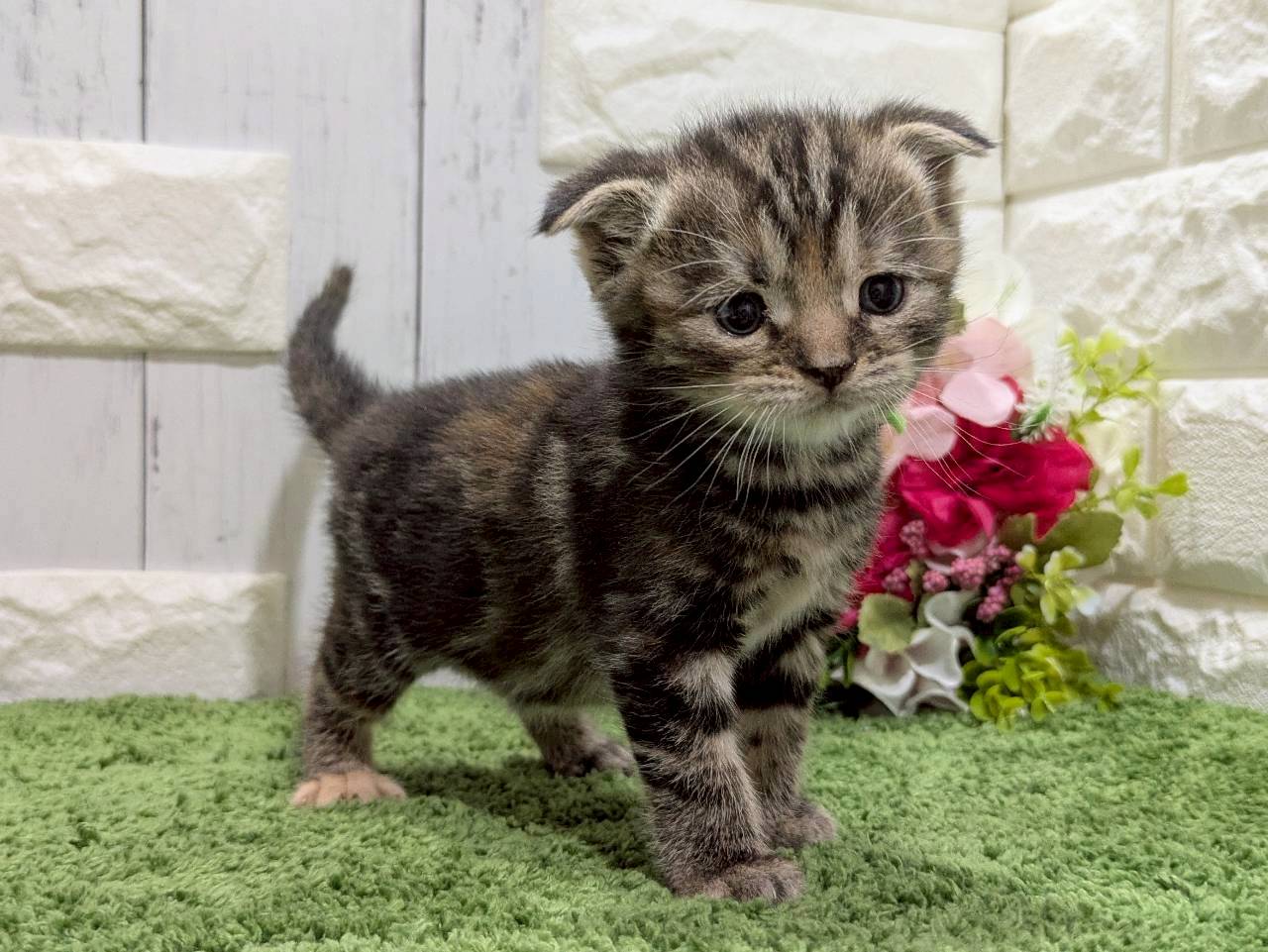 赤ちゃん写真2-3