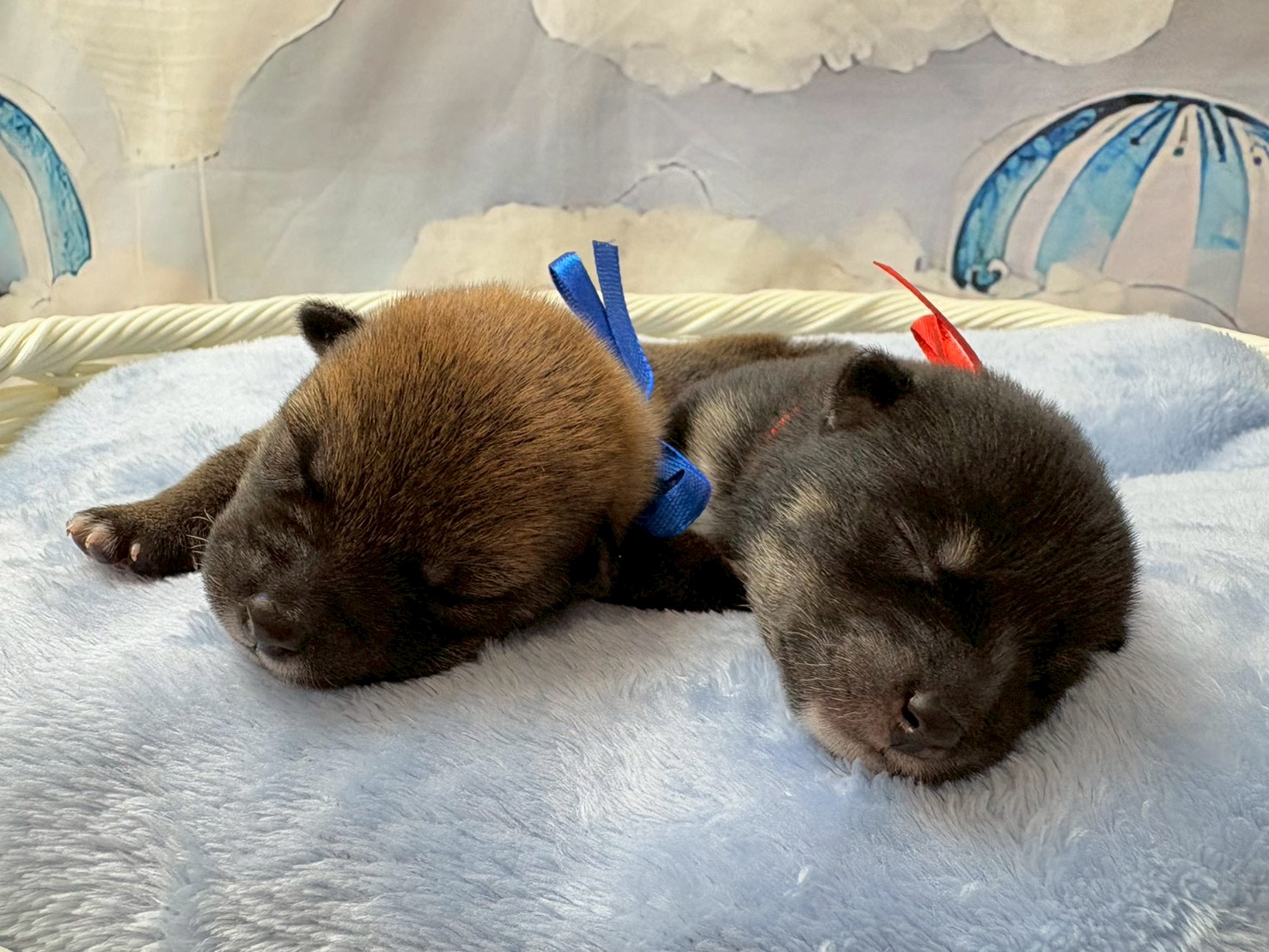 赤ちゃん写真1-3