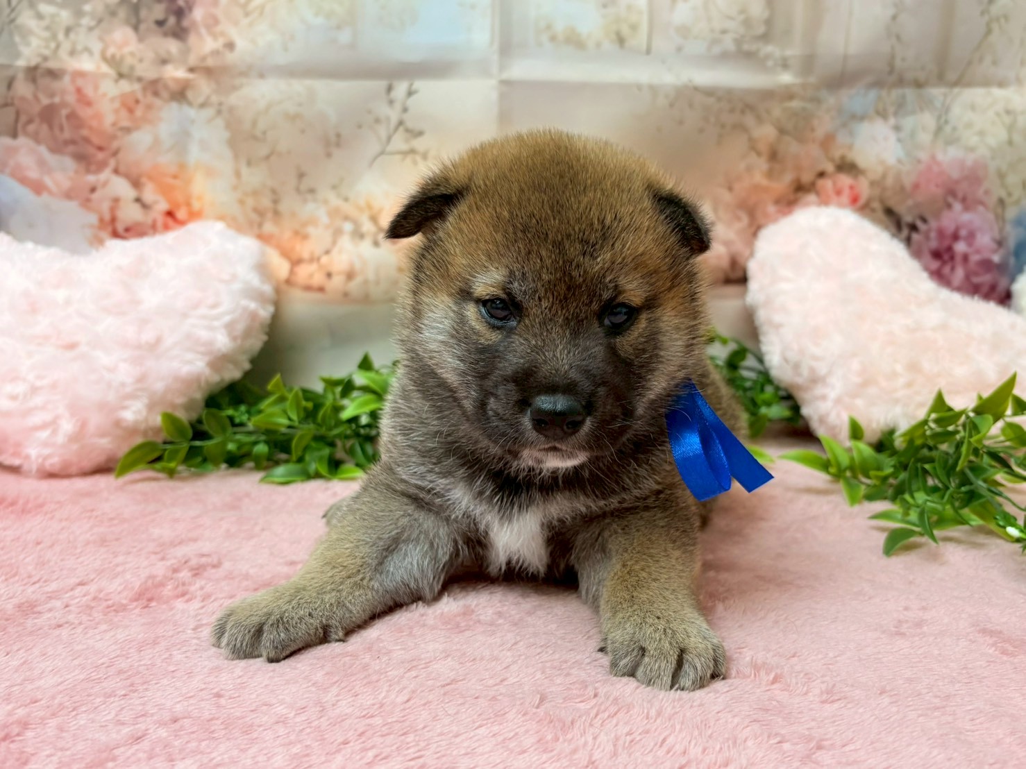 赤ちゃん写真2-1