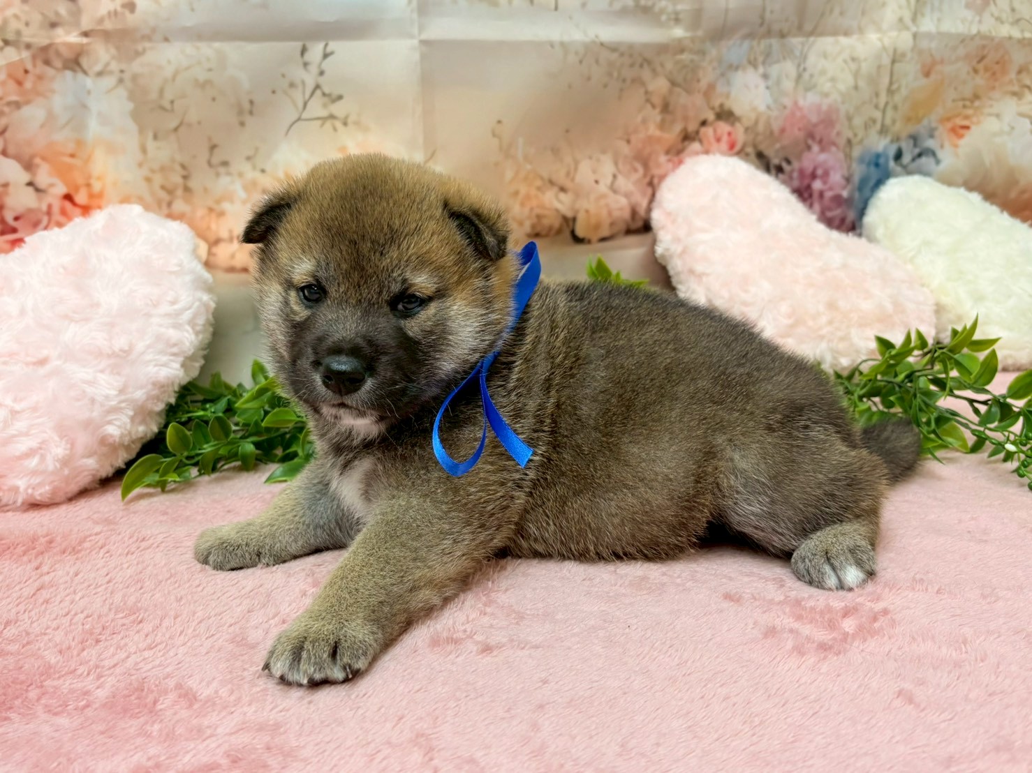 赤ちゃん写真2-2