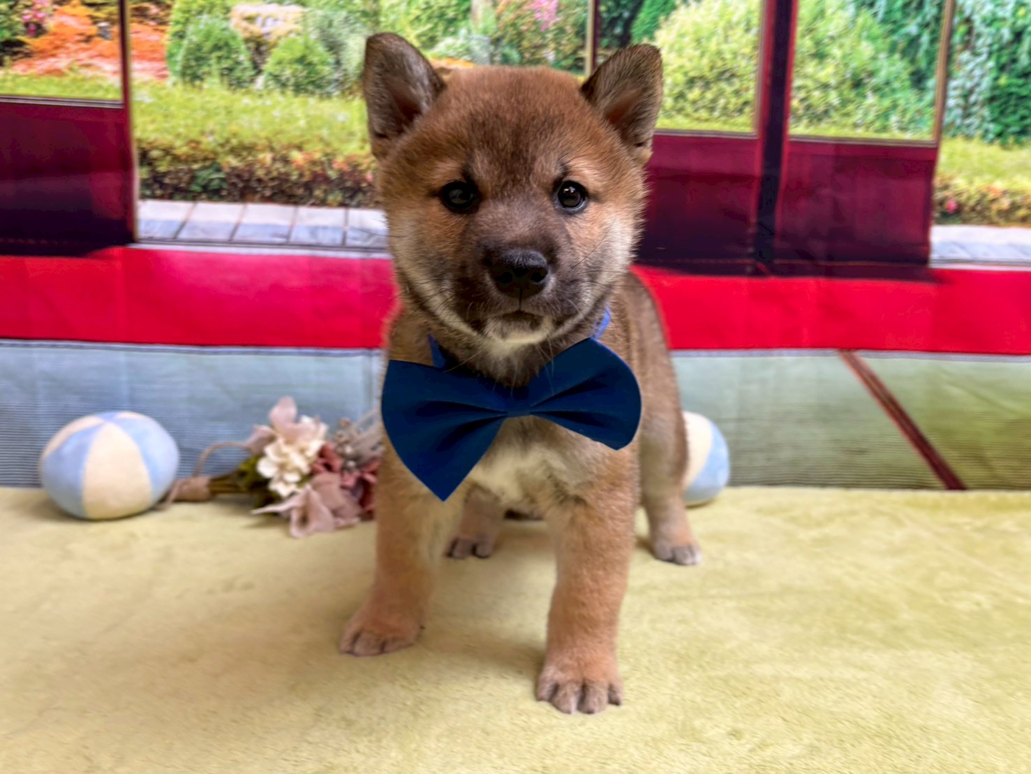 赤ちゃん写真3-1