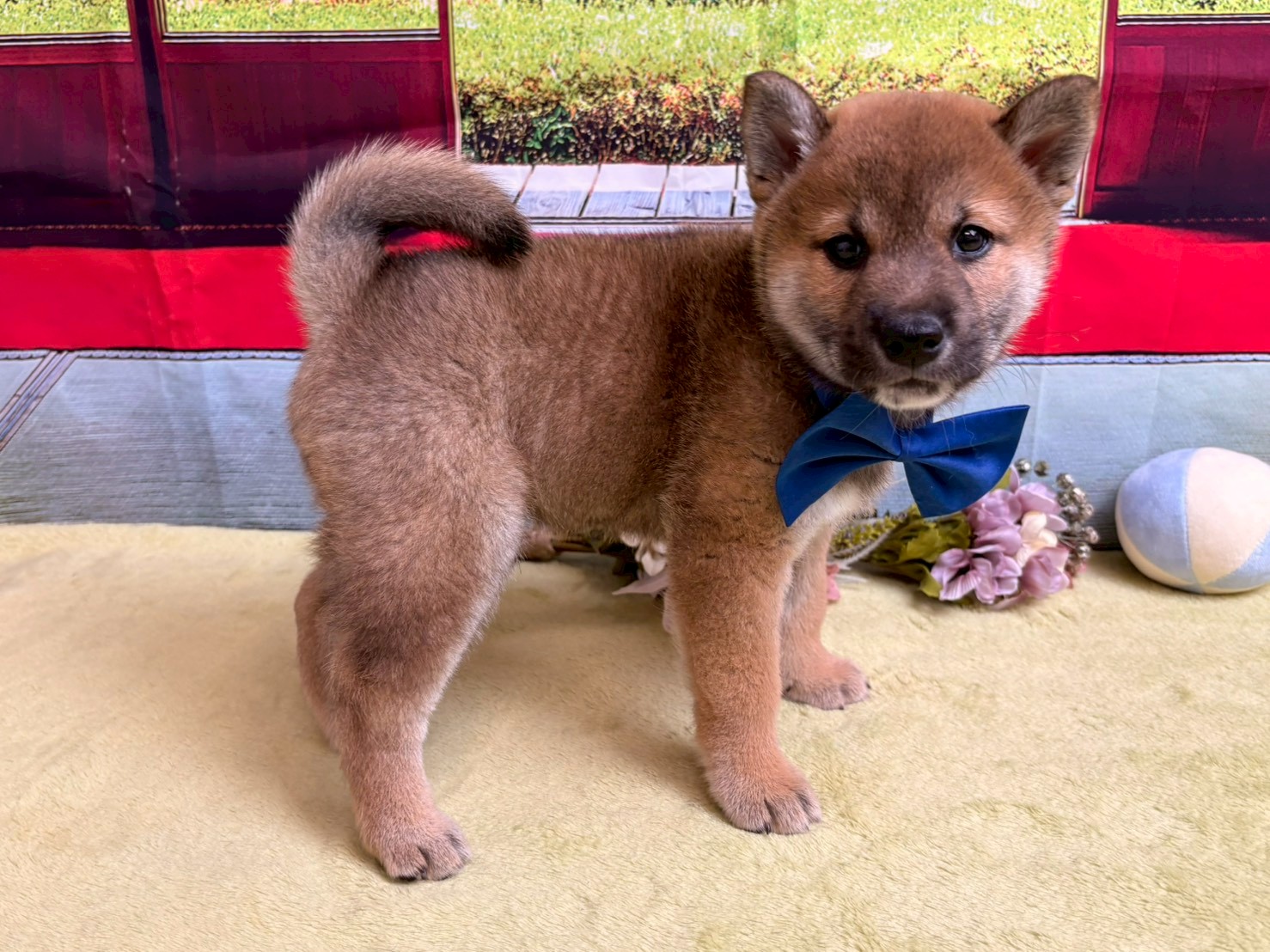 赤ちゃん写真3-2