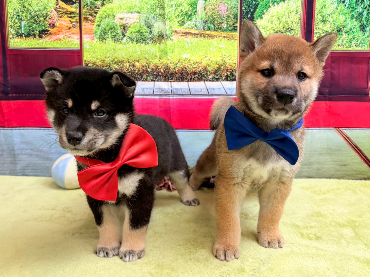 赤ちゃん写真3-3