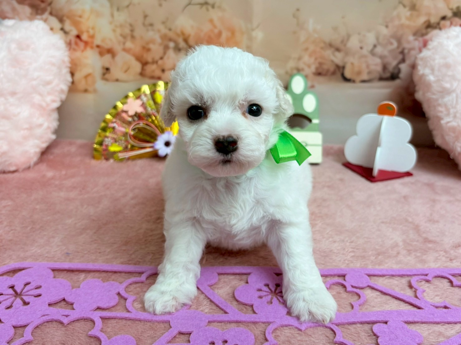 赤ちゃん写真2-1