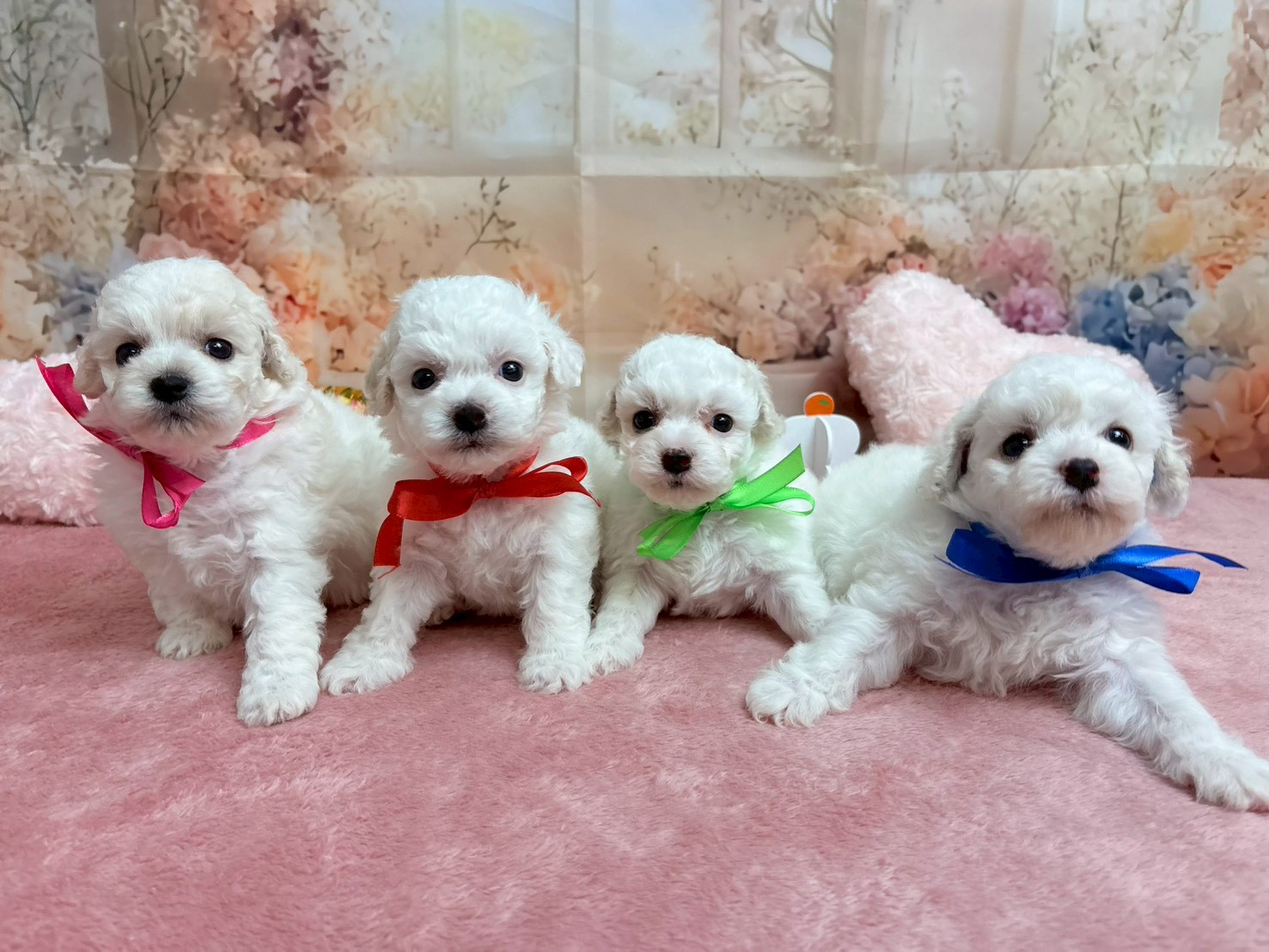 赤ちゃん写真2-3